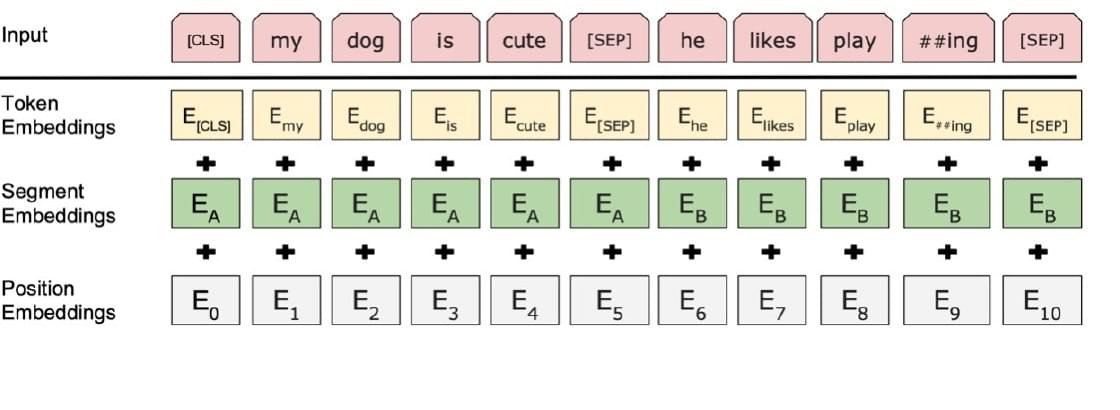 BERT input combines token, segment, and position embeddings with CLS and SEP tokens