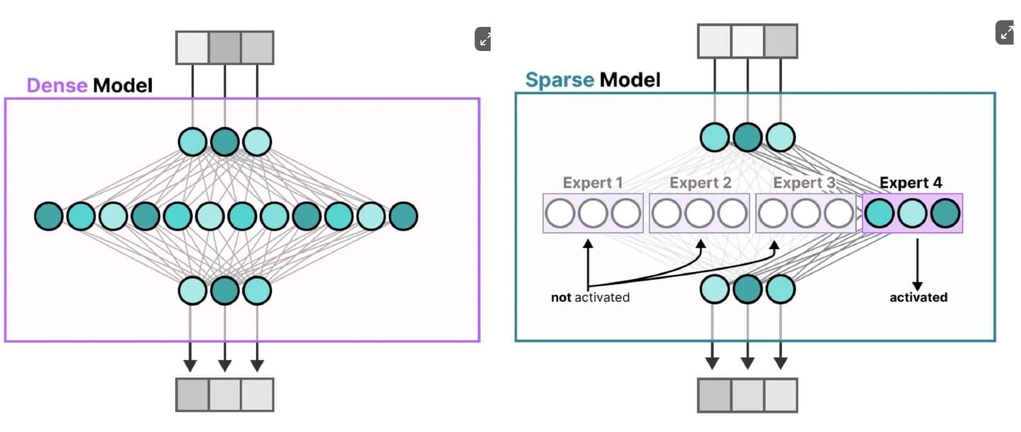Dense network activates all parameters while sparse network activates selected experts