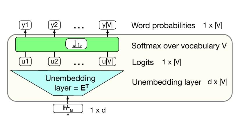 Final Transformer state projected to vocabulary logits and probabilities
