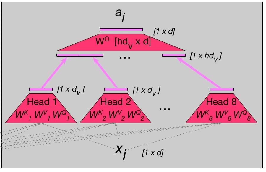 Parallel attention heads concatenated and projected to model width