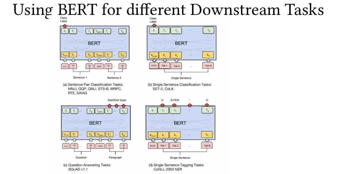 BERT adapted to four downstream task formats