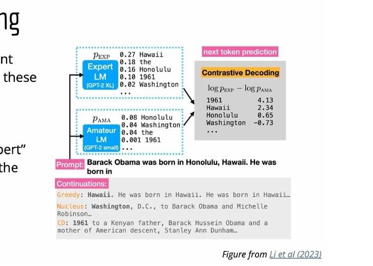 Expert and amateur model probabilities compared during contrastive decoding