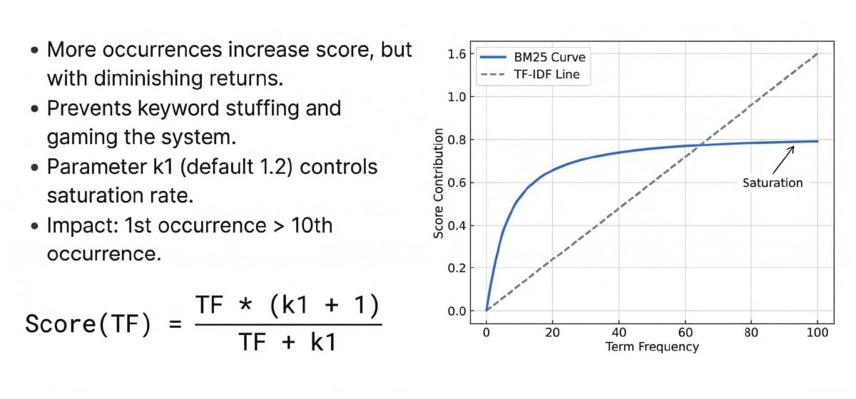 BM25 term-frequency contribution saturating while a linear TF-IDF contribution keeps increasing