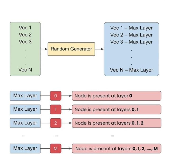 Random level assignments determining which HNSW layers contain each vector
