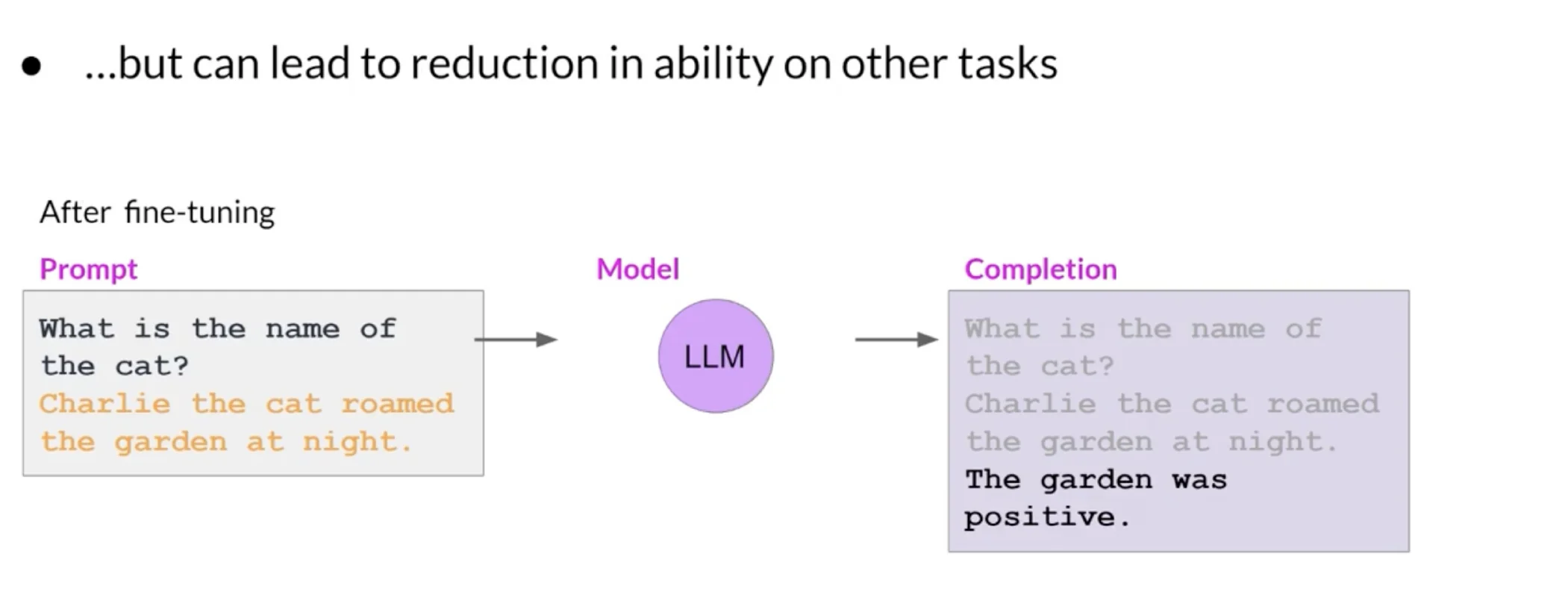 A fine-tuned sentiment model incorrectly answering a general factual question as a sentiment label