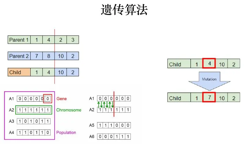 Parent crossover and mutation