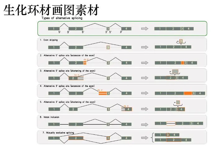 Genomic sequence map