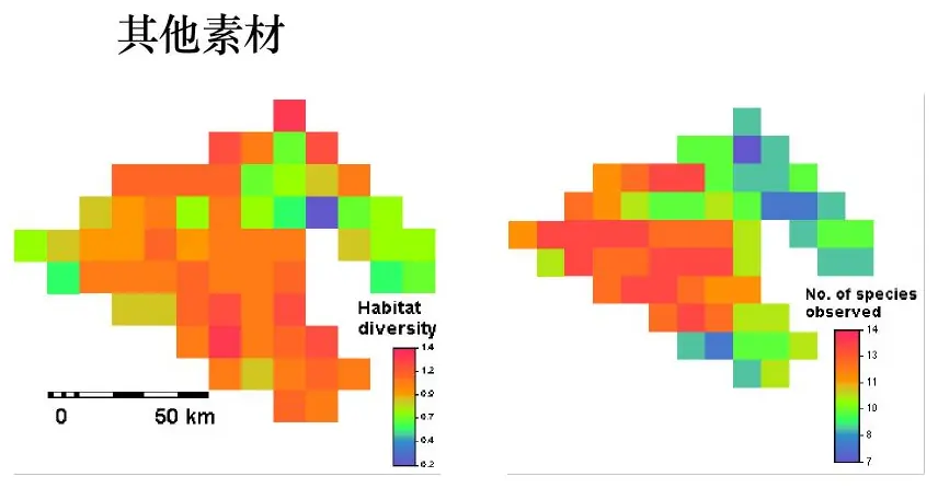 Spatial diversity rasters